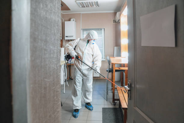 Mold Odor Removal Services in Gastonville, PA